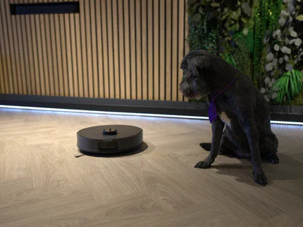 Robotstaubsauger für Haustierhaare: Effiziente Reinigung für ein sauberes Zuhause