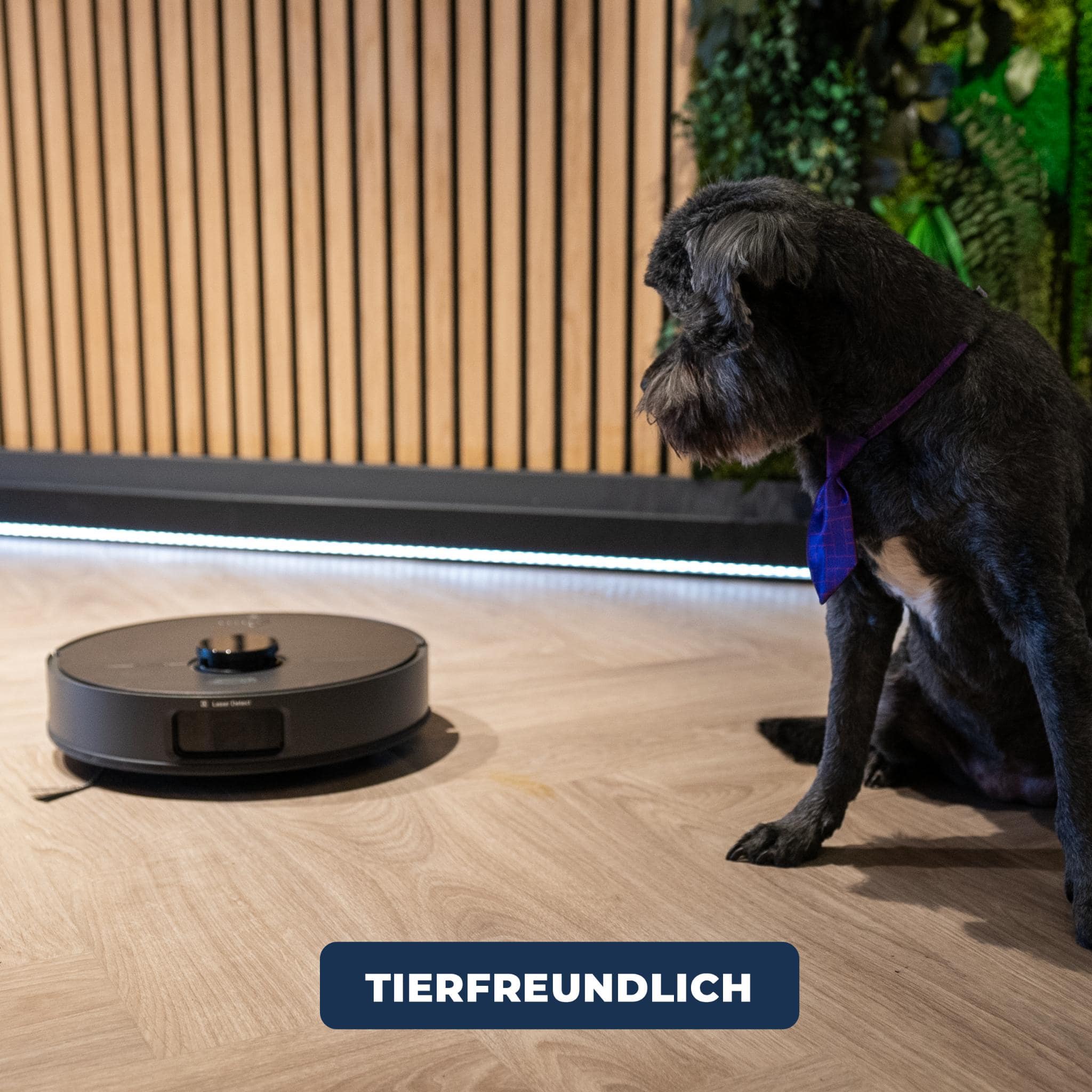 Roboterstaubsauger tierfreundlich