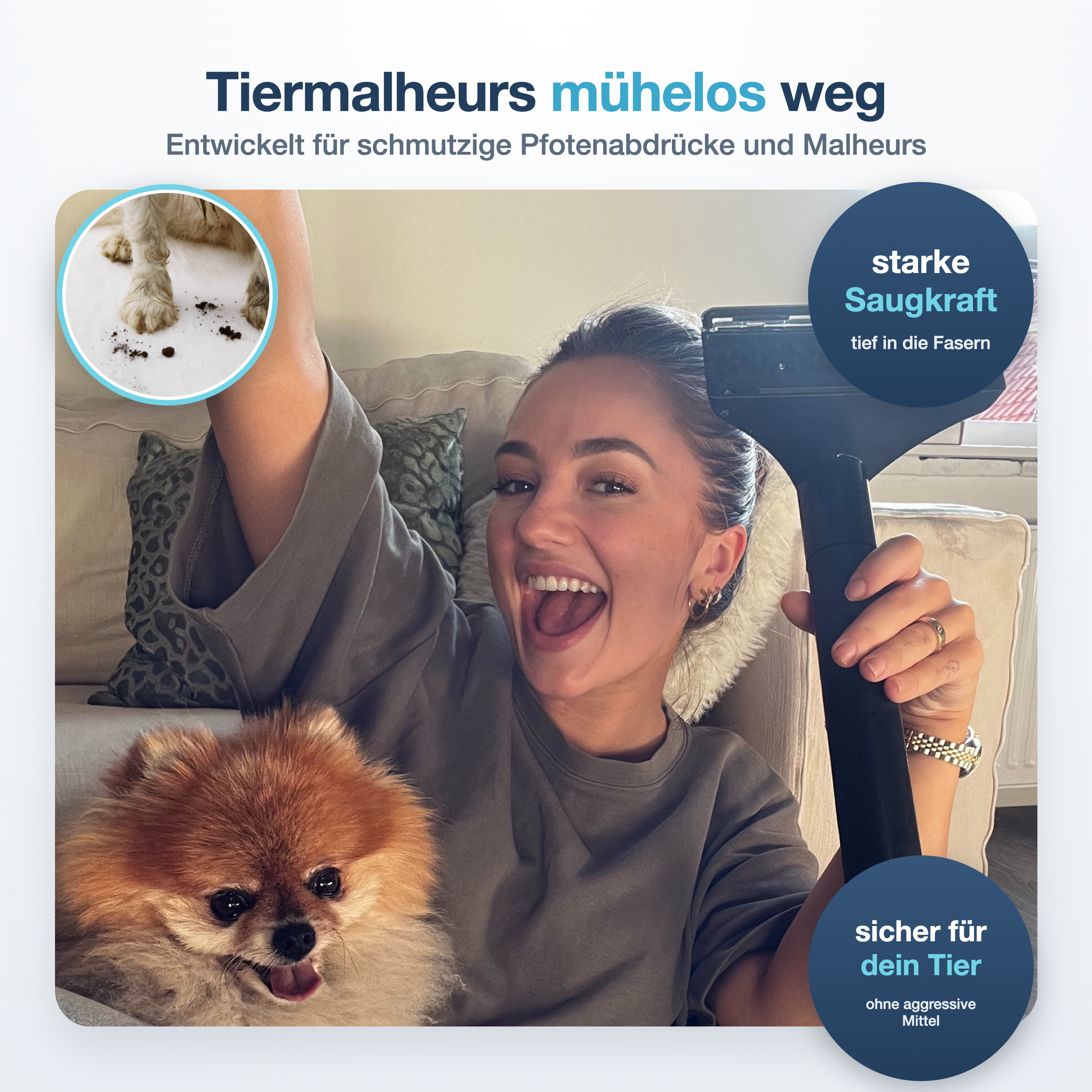 Tjilla T150 – Haustierunfälle entfernen